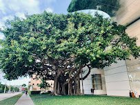 Norton Museum of Art photo 4