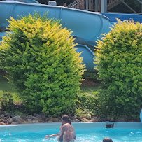 Soaky Mountain Waterpark photo 2