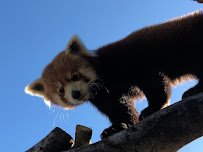 Central Coast Zoo (formerly Charles Paddock Zoo)