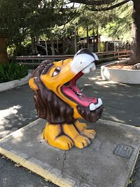 Central Coast Zoo (formerly Charles Paddock Zoo) photo 4