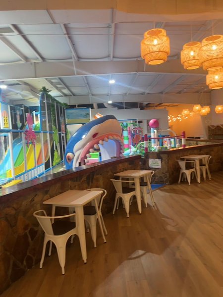 PlayTopia Indoor Playground photo 2