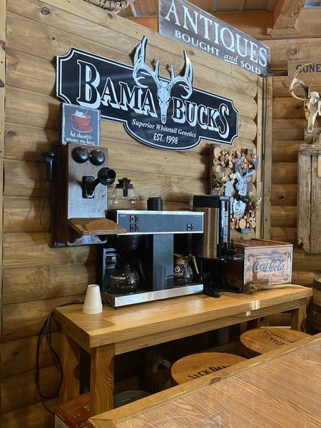 Bama Bucks photo 6