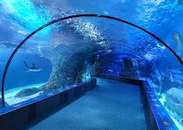 Omaha's Henry Doorly Zoo and Aquarium