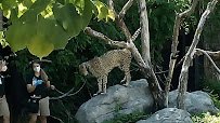 Omaha's Henry Doorly Zoo and Aquarium photo 2