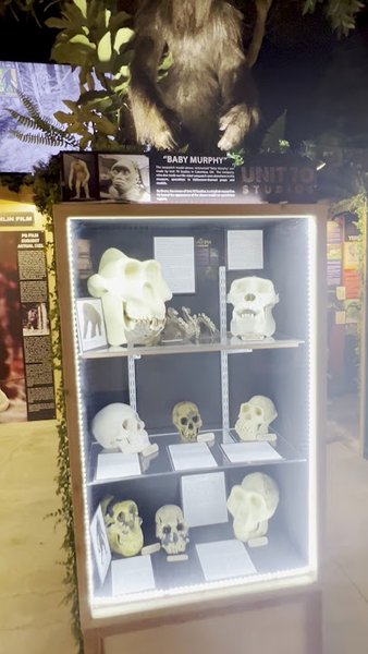 North American Bigfoot Center photo 2