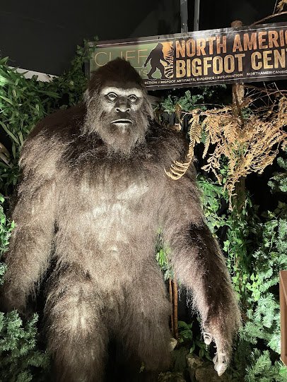 North American Bigfoot Center photo 4