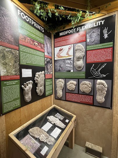 North American Bigfoot Center photo 5