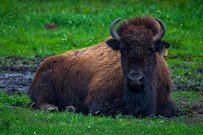 Redwood Falls Zoo photo 3