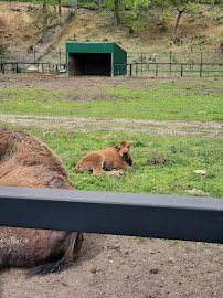 Redwood Falls Zoo photo 4