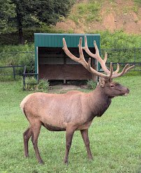 Redwood Falls Zoo photo 5