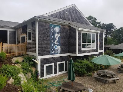 Cape Cod Museum Of Natural History photo 3