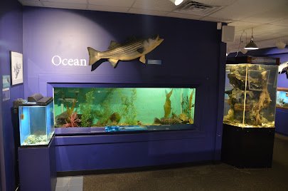 Cape Cod Museum Of Natural History photo 4