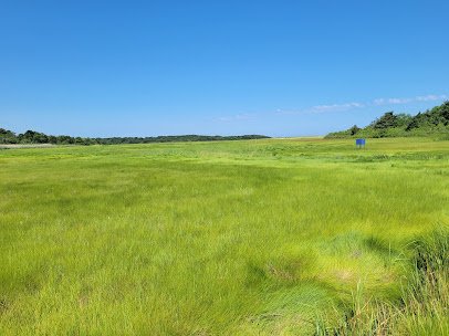 Cape Cod Museum Of Natural History photo 5
