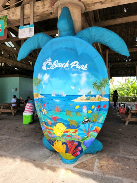 Beach Waterpark photo 6