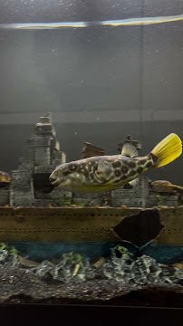 The Waterfront photo 2