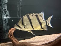 The Waterfront photo 4