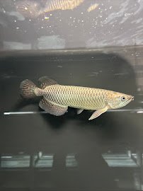 The Waterfront photo 5