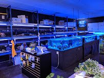 Shipwreck Cove Tropical Fish and Custom Aquariums photo 2