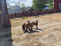 Clark Historic Farm photo 3
