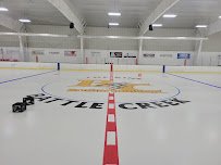 The Rink Battle Creek