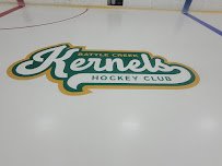The Rink Battle Creek photo 5