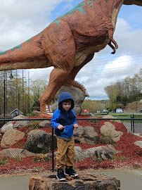 The Dinosaur Place photo 5