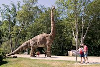 The Dinosaur Place photo 6