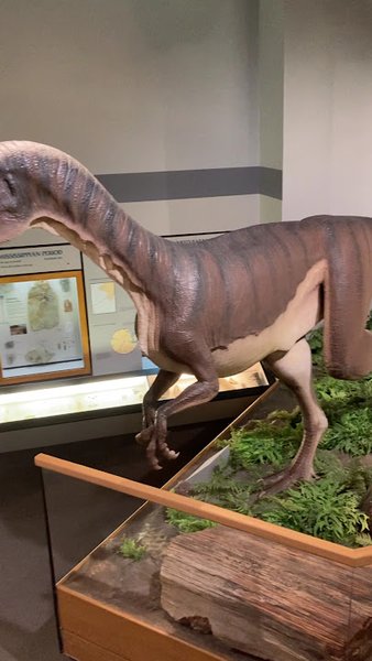 Memphis Museum of Science & History photo 2