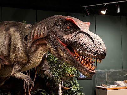 Memphis Museum of Science & History photo 3