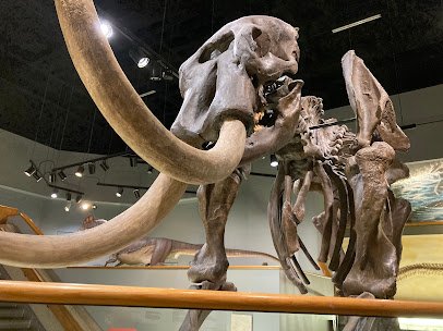 Memphis Museum of Science & History photo 4