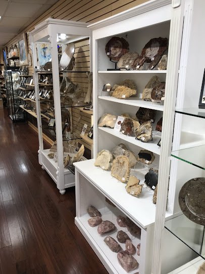 Prehistoric Kids photo 2