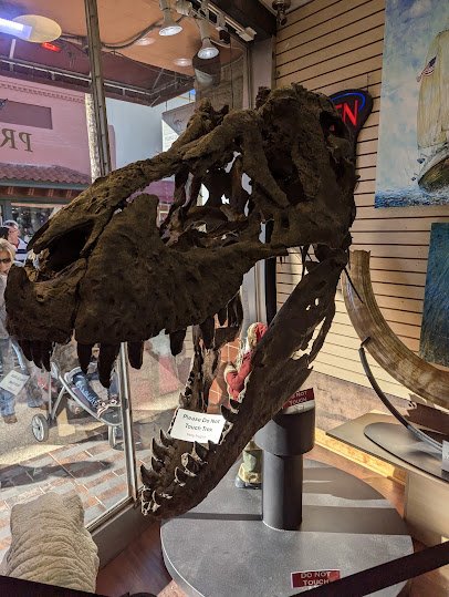 Prehistoric Kids photo 3