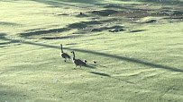 Spring Rock Golf Center photo 2