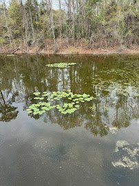 Alabama Nature Center photo 3