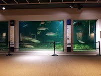 Sea Center Texas photo 3