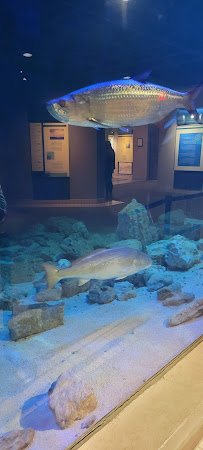 Sea Center Texas photo 6