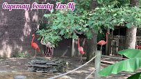 Cape May County Park & Zoo photo 2