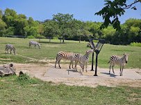 Cape May County Park & Zoo photo 5