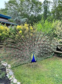 Cape May County Park & Zoo photo 6