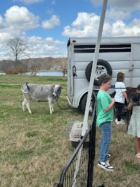 Rylan's Ranch Petting Zoo photo 5