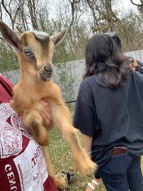 Rylan's Ranch Petting Zoo photo 6