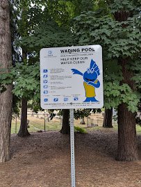 Volunteer Park Wading Pool photo 6