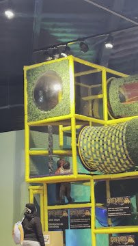 Betty Brinn Children's Museum photo 2