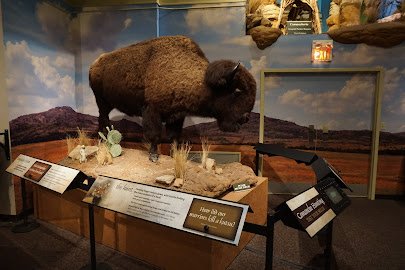 Comanche National Museum and Cultural Center photo 3