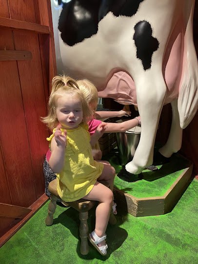 Louisiana Children's Discovery Center photo 3
