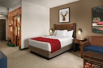 Great Wolf Lodge | Williamsburg photo 3