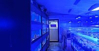 Reef Systems Coral Farm Inc photo 4