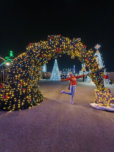 Ripley's Believe It or Not! Christmas Park photo 5