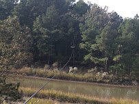 The Adventure Park at Virginia Aquarium photo 4