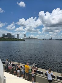 Florida Aquarium Dolphin Boat Tours photo 5